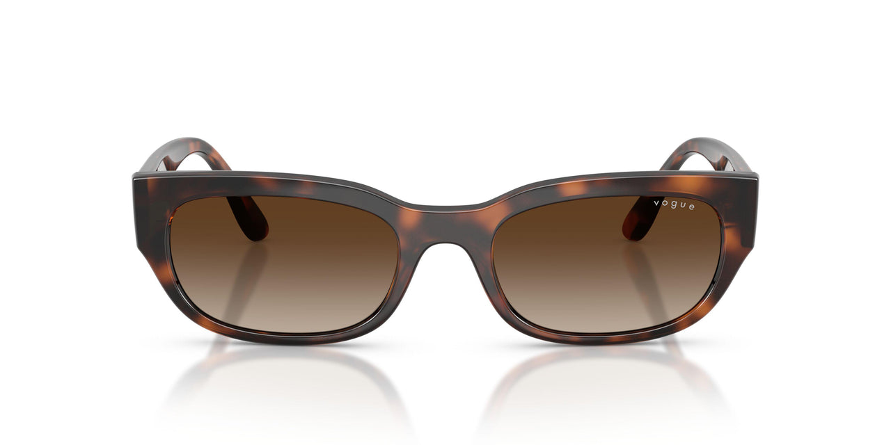 271813 - Brown - Gradient Brown