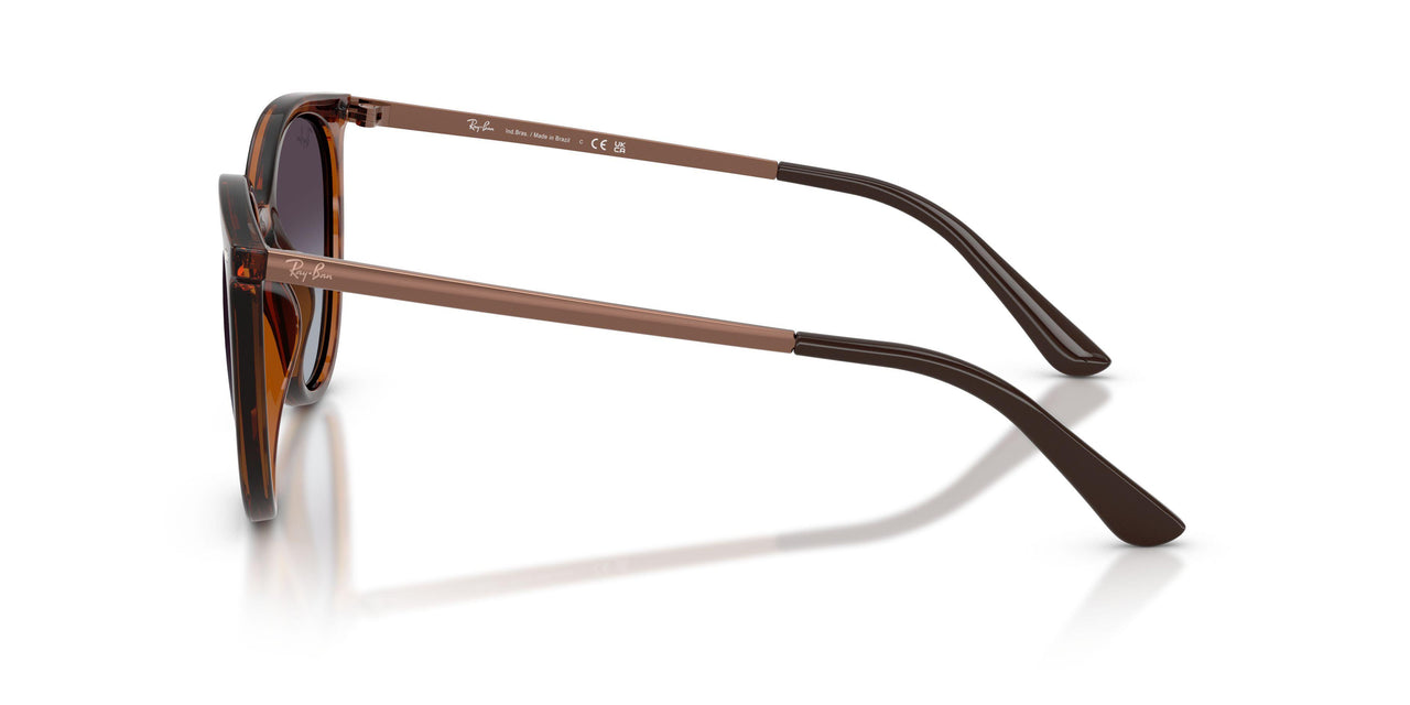 63118G - Tortoise - Light Grey Gradient Dark Grey