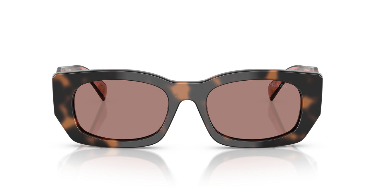 23A60B - Tortoise - Light Brown