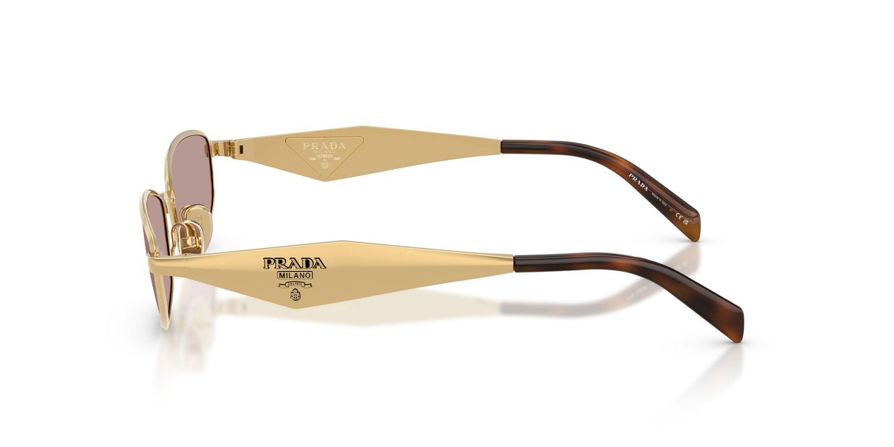 5AK20I - Gold - Light Purple Brown