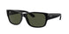 Ray-Ban 4388 Sunglasses