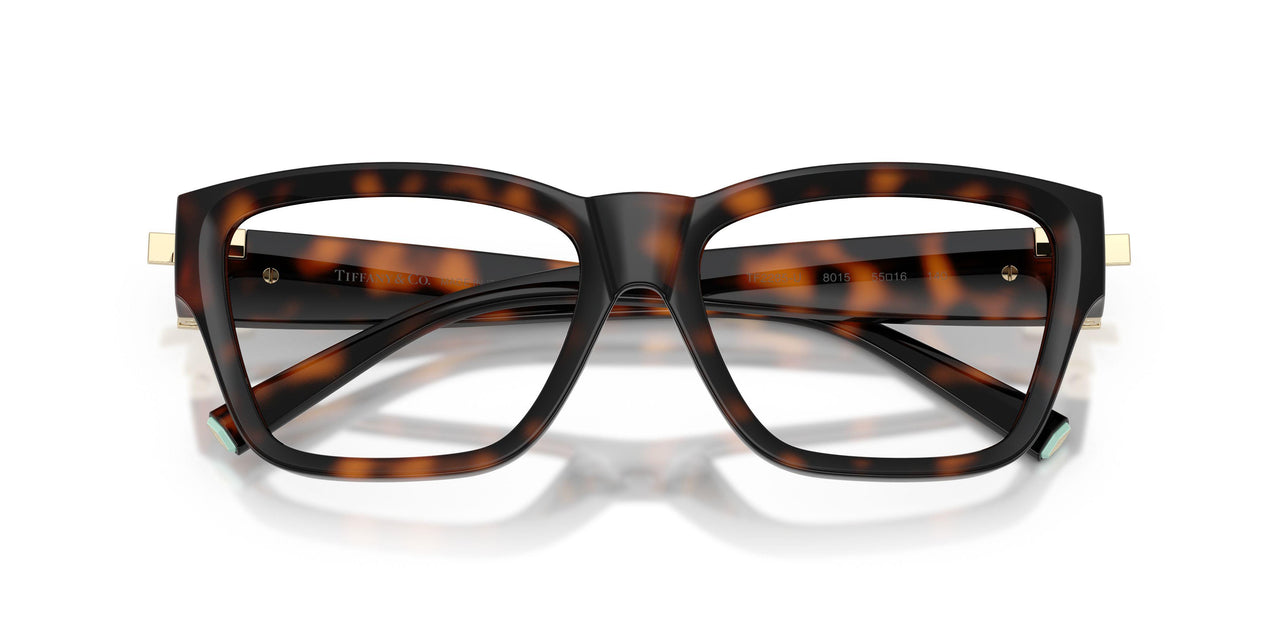 8015 - Tortoise