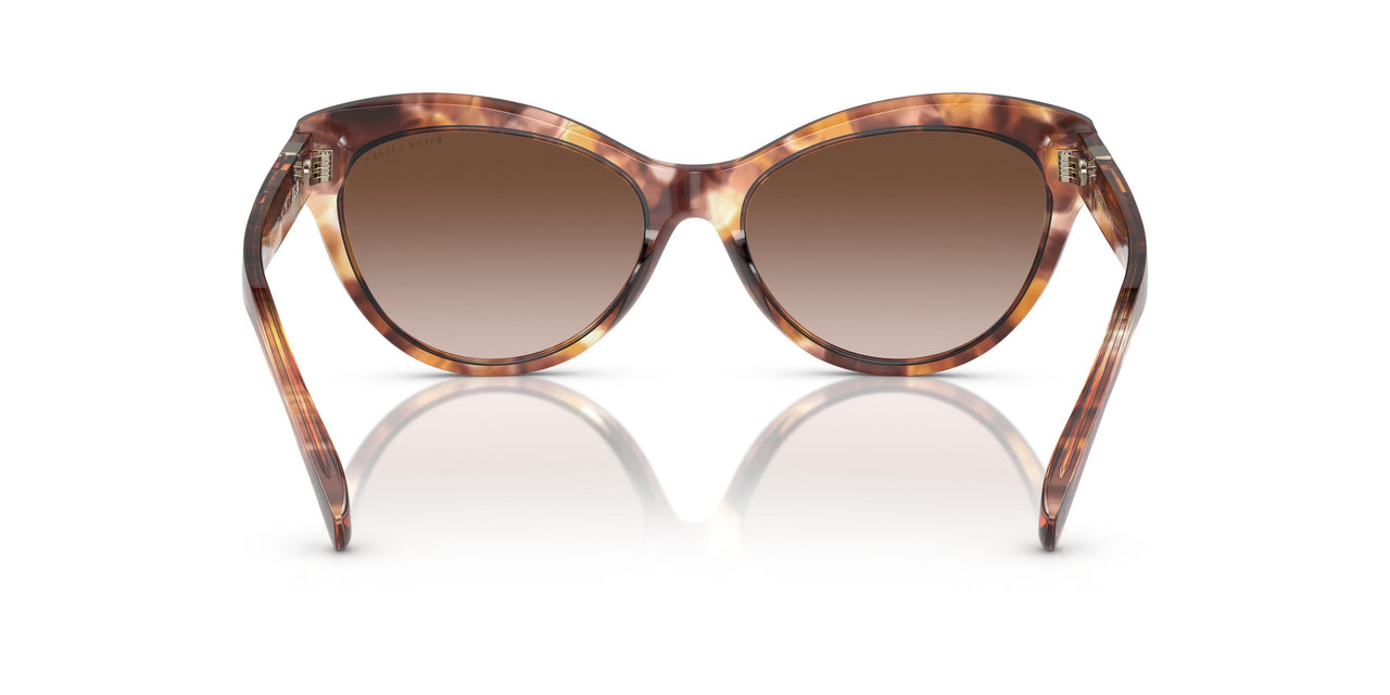 605413 - Tortoise - Gradient Brown