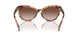 605413 - Tortoise - Gradient Brown