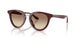 639913 - Violet - Brown Gradient