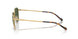 280/9A - Gold - Dark Green Polar