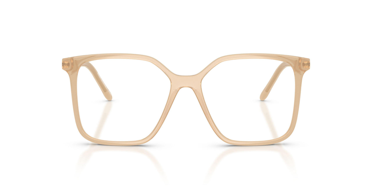 8366 - Brown