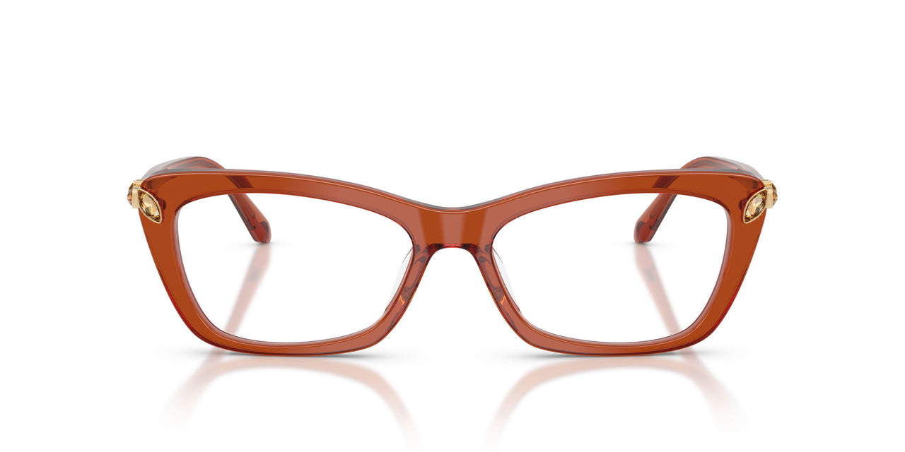 1112 - Brown