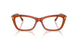 1112 - Brown