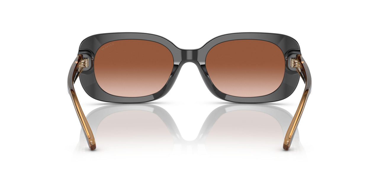 572413 - Multi - Brown Gradient