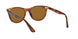 954/33 - Havana - Brown