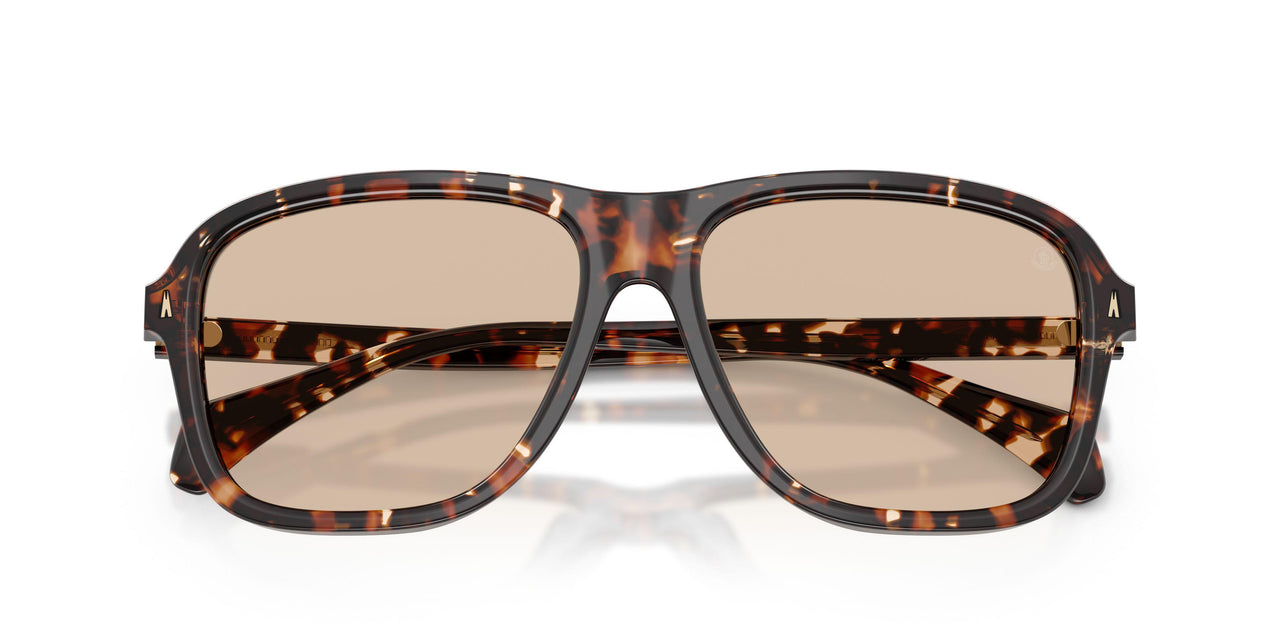 304893 - Tortoise - Gradient Brown