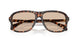 304893 - Tortoise - Gradient Brown