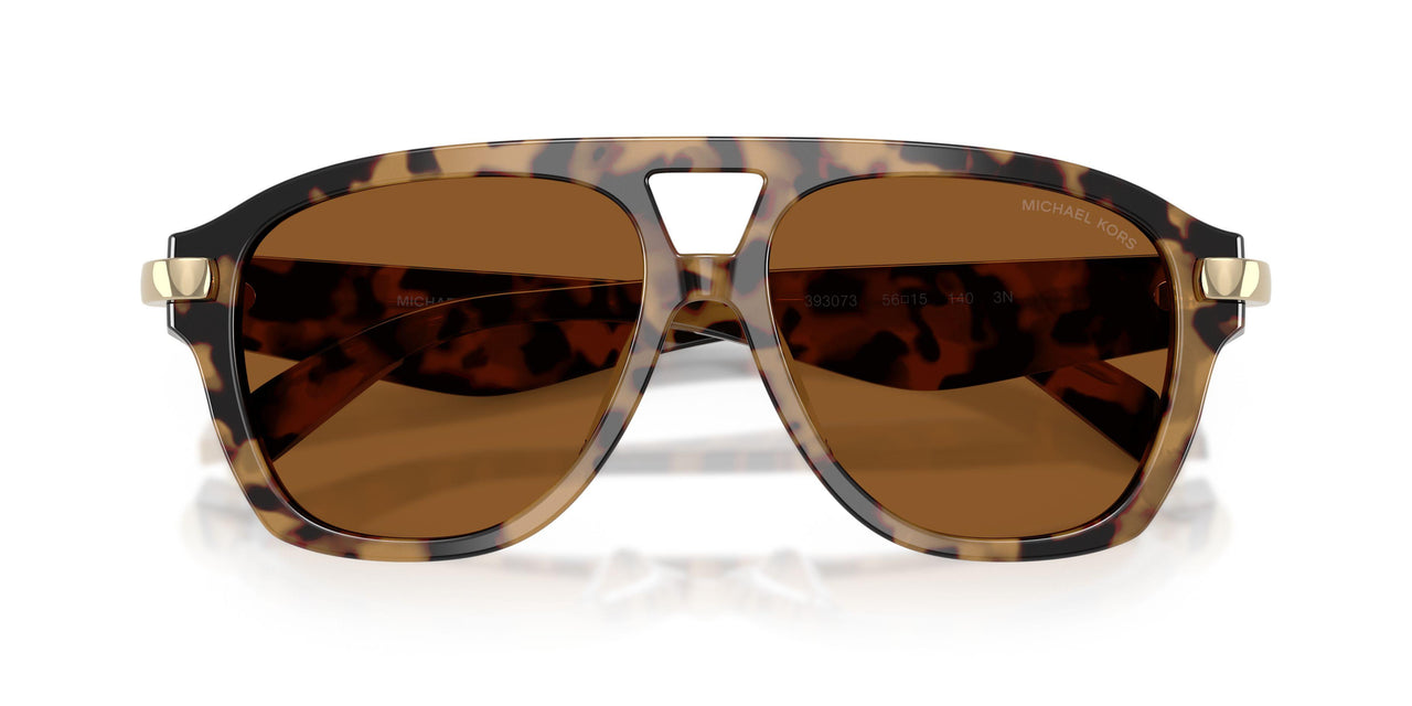 393073 - Tortoise - Amber