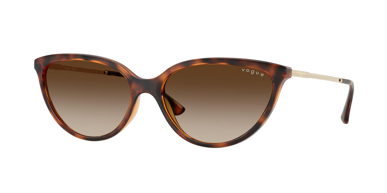 W65613 - Brown - Gradient Brown