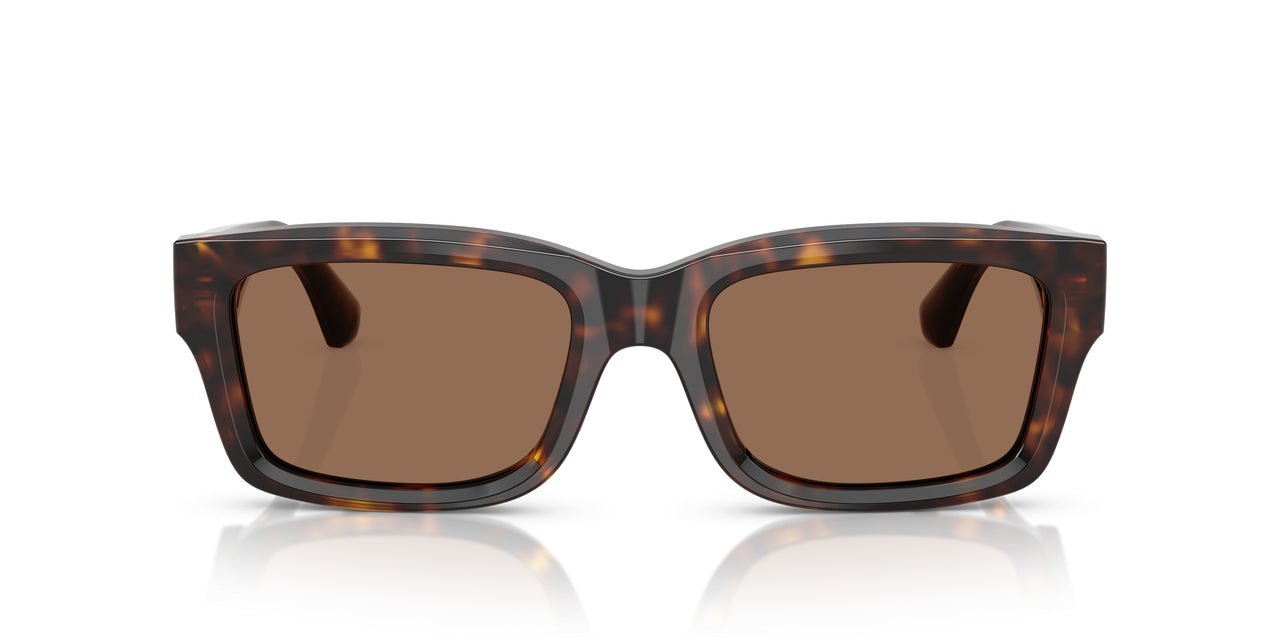 300273 - Brown - Dark Brown