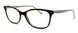 TT - Tortoise Aqua