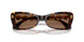 100273 - Tortoise - Dark Brown