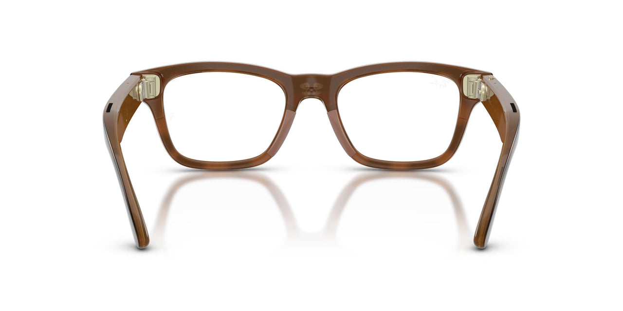 6928M4 - Tortoise - Clear/brown