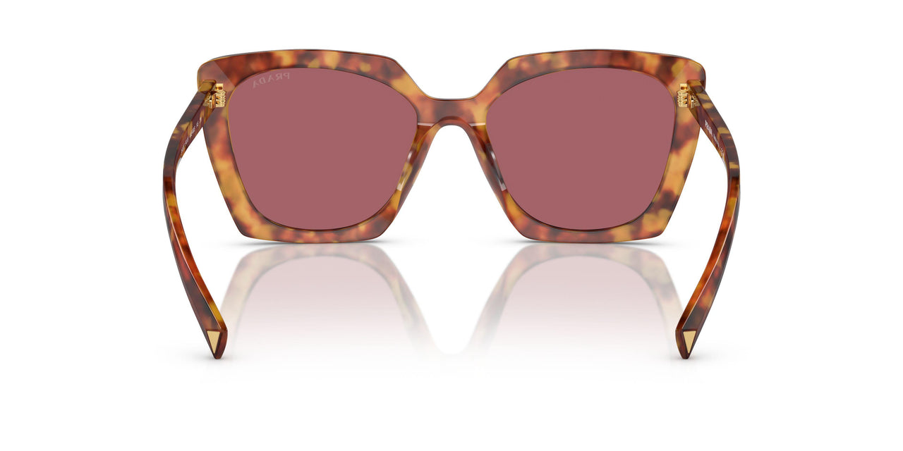 4BW08S - Tortoise - Dark Violet