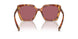 4BW08S - Tortoise - Dark Violet