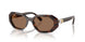 100273 - Brown - Dark Brown