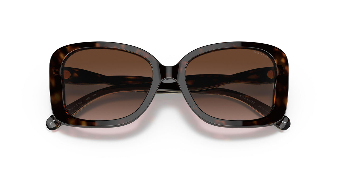 512013 - Havana - Dark Brown Gradient