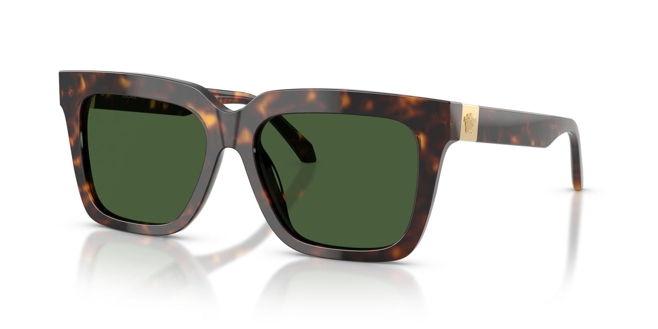108/71 - Tortoise - Dark Green