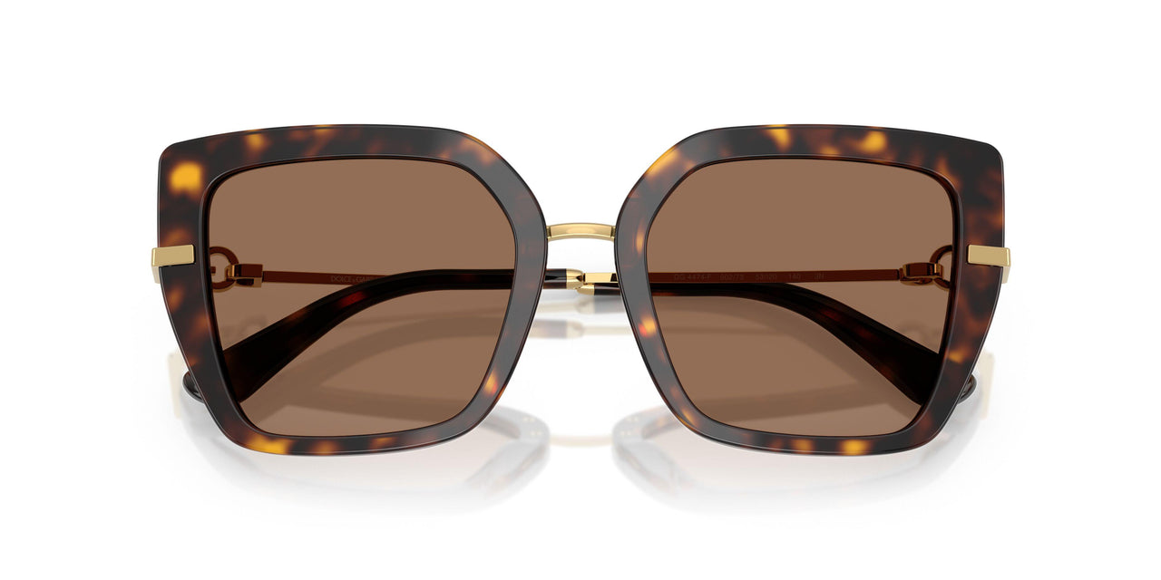 502/73 - Tortoise - Dark Brown