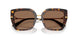 502/73 - Tortoise - Dark Brown