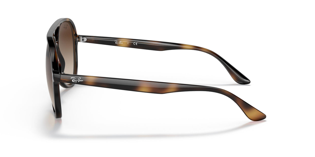 710/13 - Havana - Brown Gradient