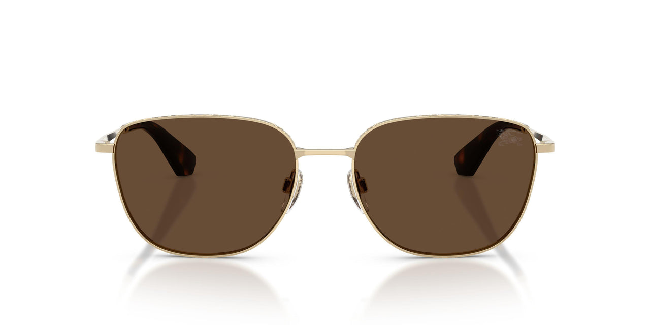 110973 - Gold - Dark Brown