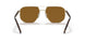 ZVN5Y1 - Gold - Polar Brown