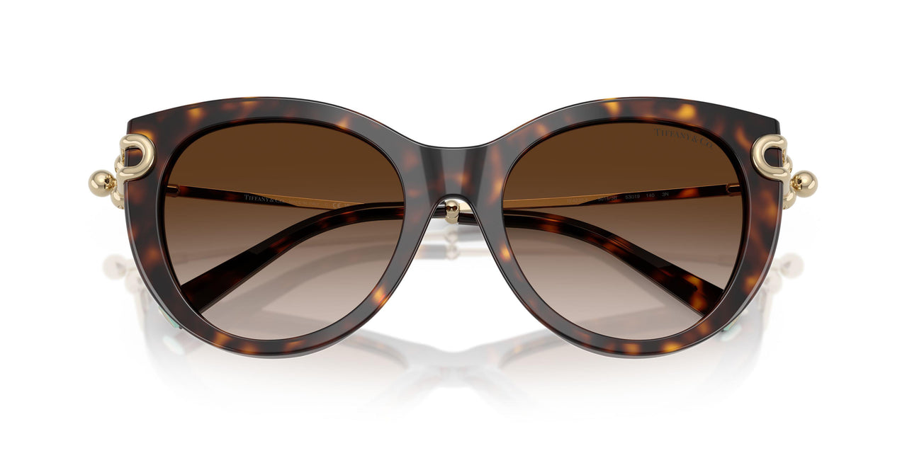 80153B - Tortoise - Brown Gradient
