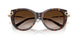 80153B - Tortoise - Brown Gradient
