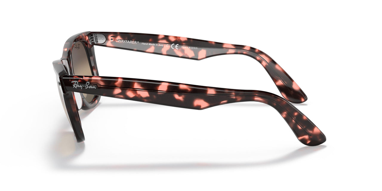 1334G3 - Havana - Polar Clear Gradient Dark Grey