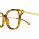002 - Havana/Gold - Transparent