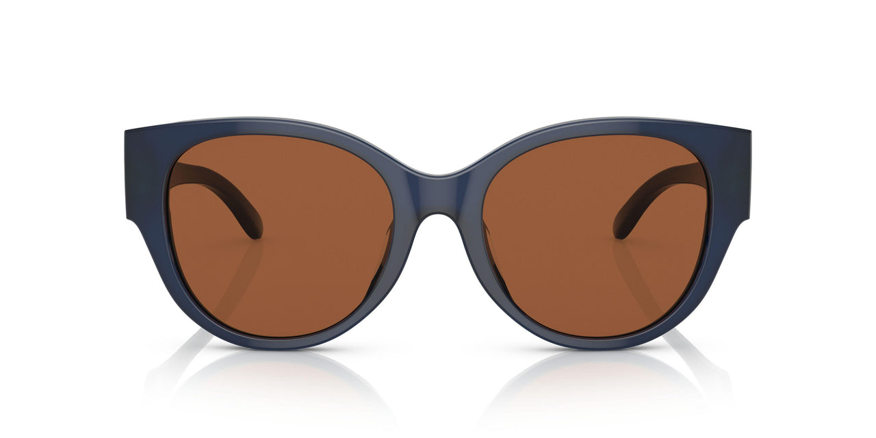 165673 - Blue - Solid Brown