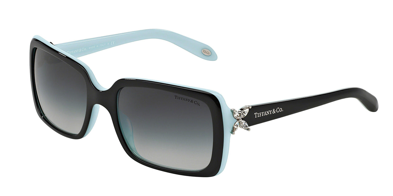 80553C - Black - Gray Gradient