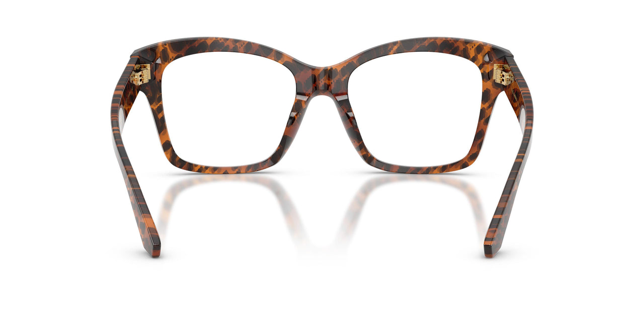 3470 - Brown