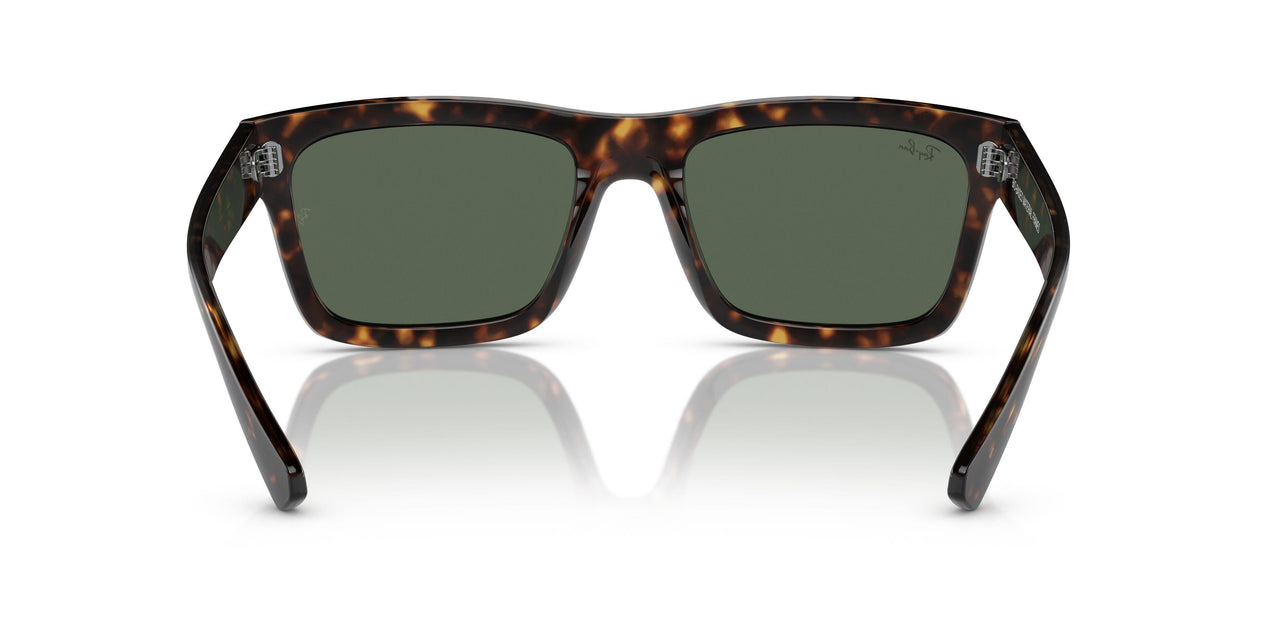 135971 - Tortoise - Dark Blue