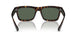 135971 - Tortoise - Dark Blue