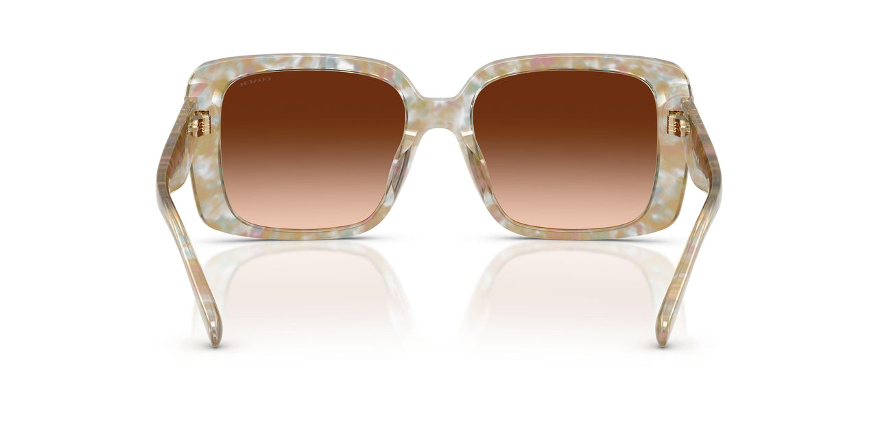 586874 - Brown - Brown Gradient