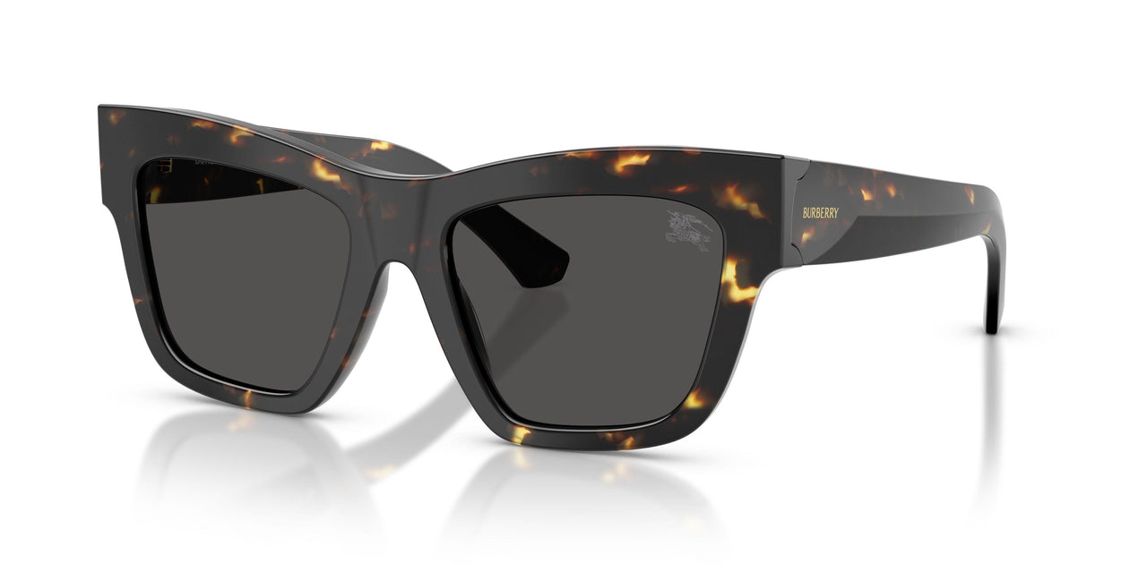 410687 - Tortoise - Dark Grey