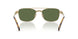 ZVN71A - Gold / Olive Green