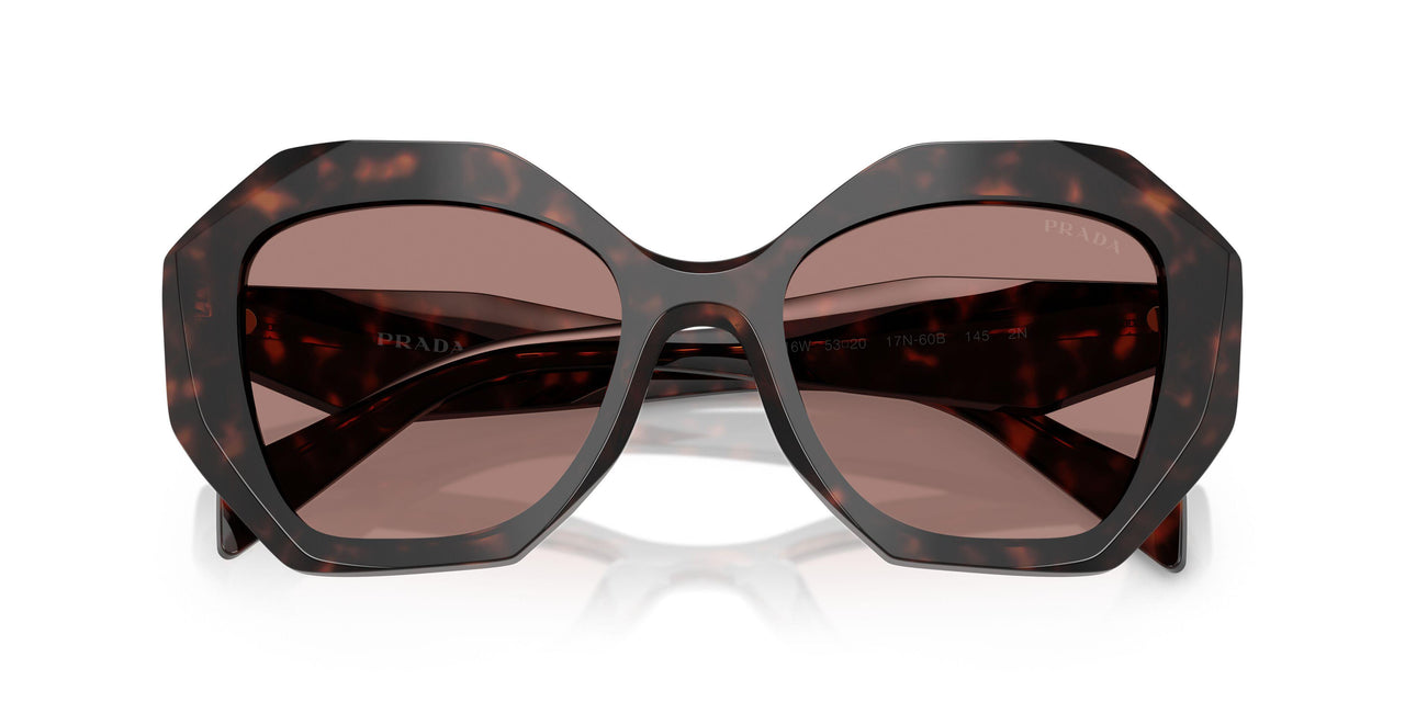 17N60B - Tortoise - Light Brown