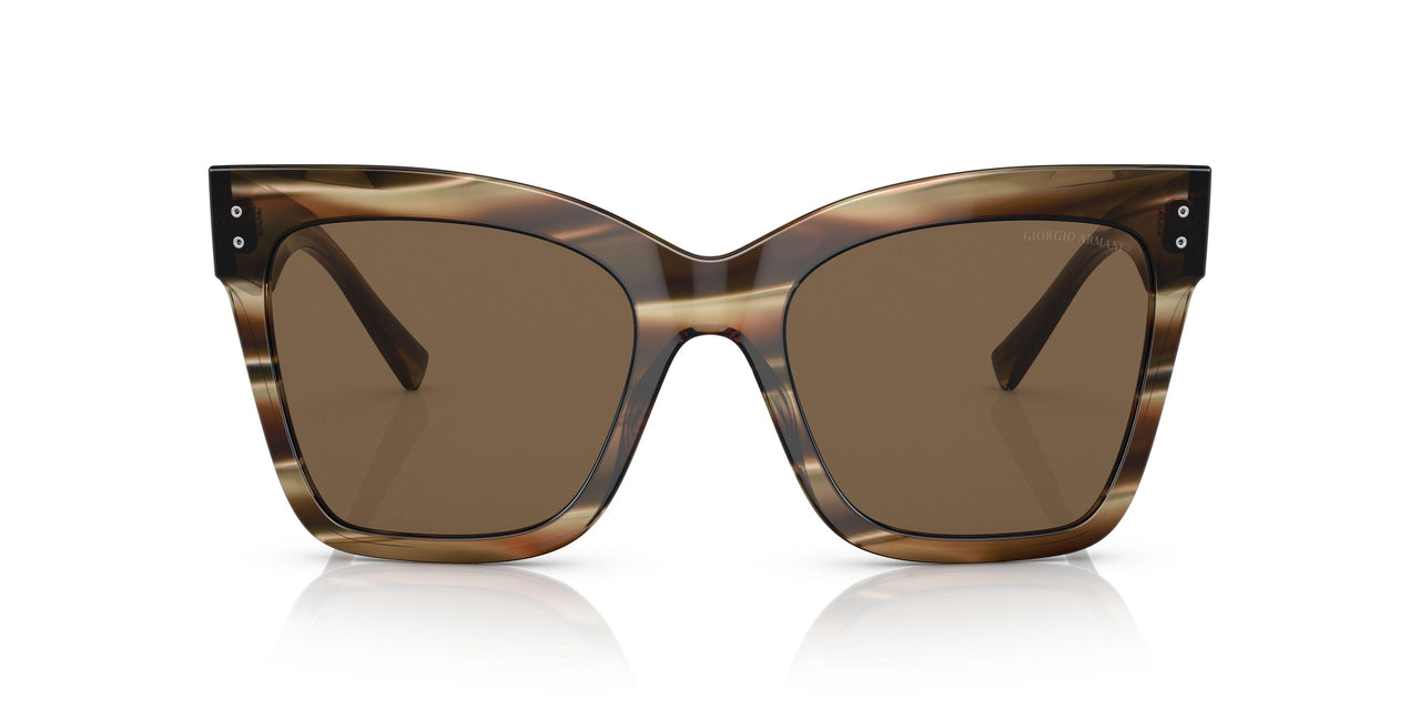 595473 - Brown - Dark Brown