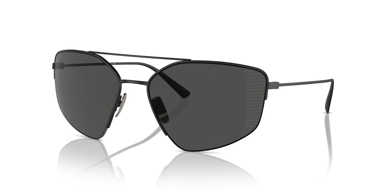 301/81 - Black - Polarized Grey