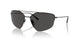 301/81 - Black - Polarized Grey
