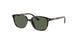152/71 - Havana - Dark Green